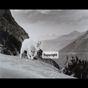 Country 3 Photo Sale